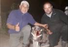 SAN LUIS: QUEDÓ HABILITADA LA CAZA DEPORTIVA DEL JABALÍ