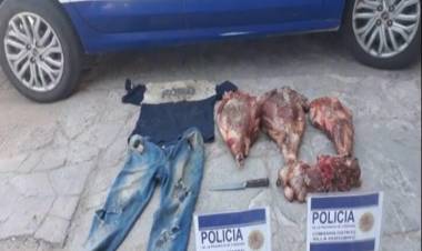ROBO Y VIOLACIÓN DE CUARENTENA