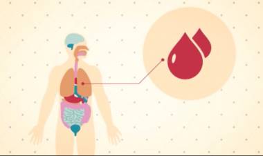 17 DE MAYO DÍA INTERNACIONAL DE LA HIPERTENSIÓN ARTERIAL