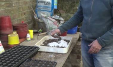 LOS BENEFICIOS DE UN ABONO ORGÁNICO