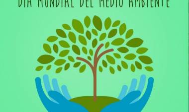 5 DE JUNIO: "DÍA MUNDIAL DEL MEDIO AMBIENTE"