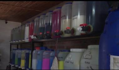 INCREMENTO EN LA DEMANDA DE PRODUCTOS DE LIMPIEZA E HIGIENE