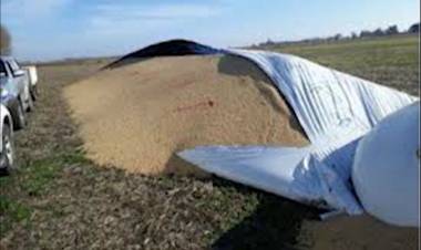 LA PERDIDA POR UN SILO BOLSA ROTO ASCIENDE A LOS 250 MIL PESOS