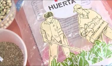 AUMENTAN LAS HUERTAS FAMILIARES