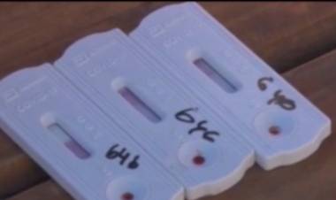 COVID 19: ENTRE HISOPADOS Y TEST RÁPIDOS 