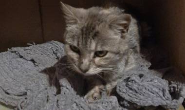 UNA SEGUNDA OPORTUNIDAD PARA QUIARA