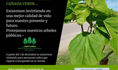 PLAN DE REFORESTACIÓN URBANA