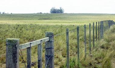 SECTOR AGRÍCOLA CON POCAS PERSPECTIVAS DE LLUVIAS