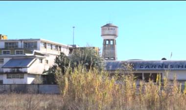 FRIGORÍFICO: "LO ÚNICO QUE QUEDO EN CONDICIONES SON LAS CÁMARAS DE FRÍO"