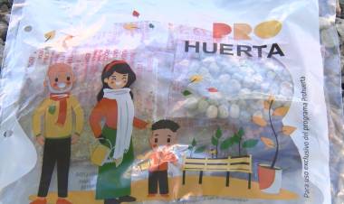 LLEGARON LAS SEMILLAS DEL PROHUERTA AL VIVERO MUNICIPAL