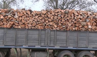 LA DIFÍCIL TAREA DE CONSEGUIR LEÑA Y A BUEN PRECIO