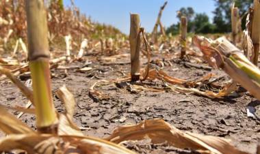 LA FALTA DE LLUVIAS AFECTA A TODO EL SUR PROVINCIAL