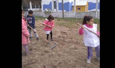 PROYECTO DE HUERTA INTERINSTITUCIONAL ENTRE EL BERNARDINO Y EL IPEMyA
