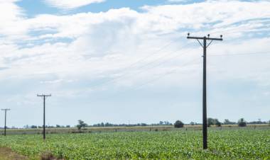 ROBO EN ESTABLECIMIENTO RURAL AL SUR DE NUESTRA LOCALIDAD