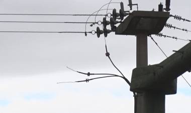 UN GATO PROVOCÓ EL CORTE DE ENERGÍA DEL ÚLTIMO SÁBADO