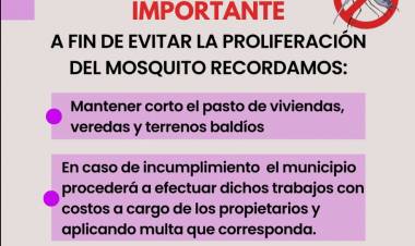 DENGUE: SE RETOMAN LOS CONTROLES PREVENTIVOS