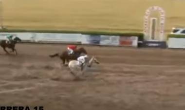 DESPIADADA, LA TORDILLA DEL STUD LA MARY VOLVIÓ A CRUZAR EL DISCO