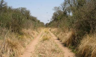 SALIÓ A CAZAR Y SE DESHIDRATÓ EN EL MONTE