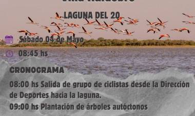 SE VIENE EL 1° ENCUENTRO AMBIENTALISTA EN LA LAGUNA DEL 20