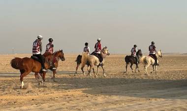VETERINARIO LOCAL QUE TRABAJA CON CABALLOS EN QATAR