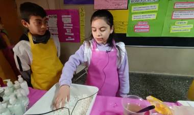 FERIA DE CIENCIAS EN LA ESCUELA JUANA J CHELI