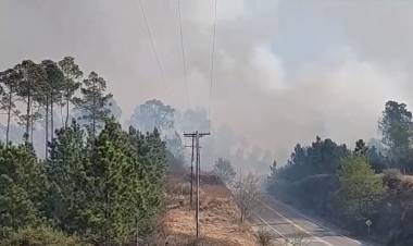 EL DESASTRE QUE DEJA EL FUEGO PARA LAS COOPERATIVAS