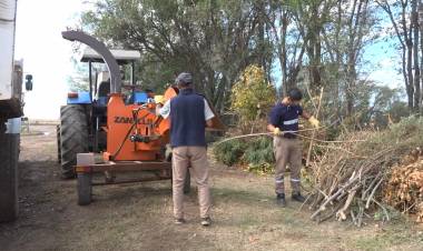 PUESTA EN FUNCIONES DE UNA NUEVA MAQUINA CHIPIADORA