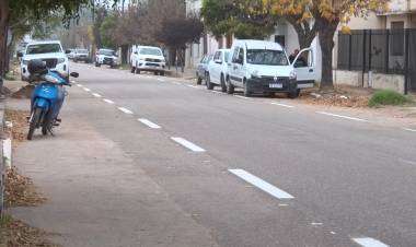 TRABAJOS DE DEMARCACIÓN SOBRE CALLE RIVADAVIA, HABILITACIÓN DE PODA Y SERVICIOS MUNICIPALES