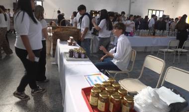 MUESTRA INSTITUCIONAL DEL IPEMYA 