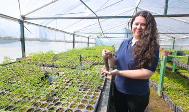 GEN NATIVO: EL PROGRAMA PRODUCTOR DE ESPECIES PARA REFORESTAR CAMPOS