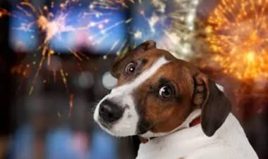 LLEGAN LAS FIESTAS Y SE REITERA EL PEDIDO DEL NO USO DE PIROTECNIA 