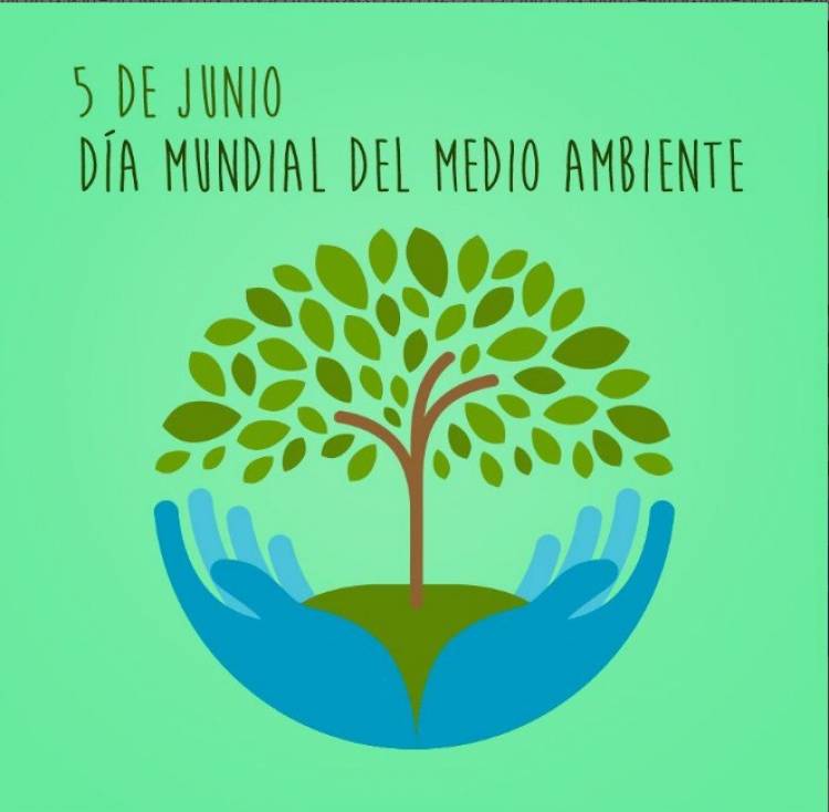 5 DE JUNIO: "DÍA MUNDIAL DEL MEDIO AMBIENTE"