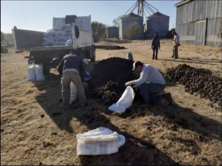 LLEGARON 7 MIL KILOS DE PAPAS PARA REPARTIR EN LA COMUNIDAD