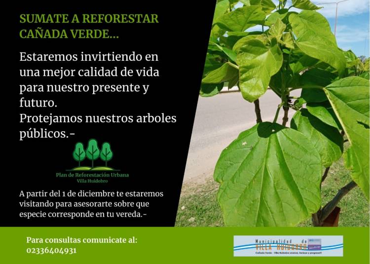 PLAN DE REFORESTACIÓN URBANA