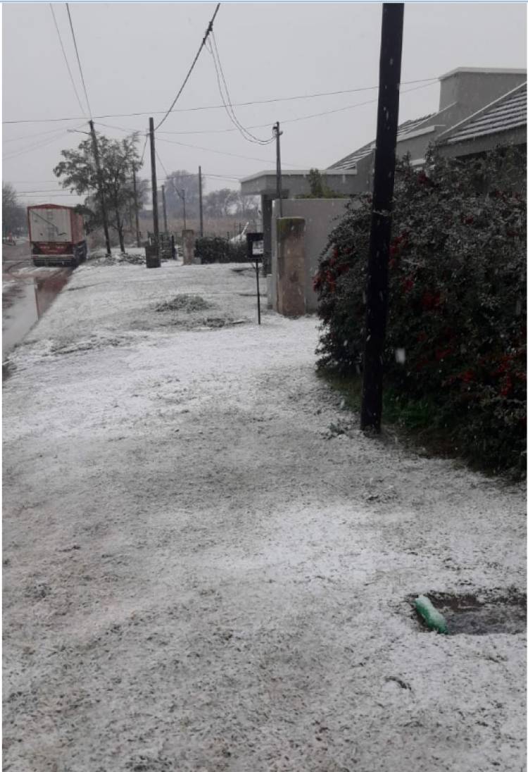 LA NIEVE VOLVIÓ AL ROCA TRAS 14 AÑOS