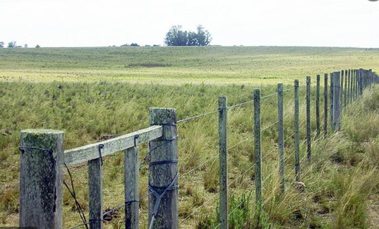 SECTOR AGRÍCOLA CON POCAS PERSPECTIVAS DE LLUVIAS