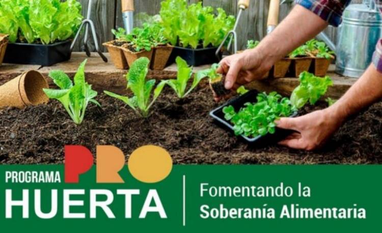 PROHUERTA: MÁS DE CIEN FAMILIAS YA TIENEN SU PROPIA HUERTA