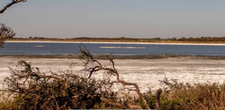 EL PREDIO DE LA LAGUNA DEL 20 QUEDARÁ LISTO PARA EL 1° DE ENERO