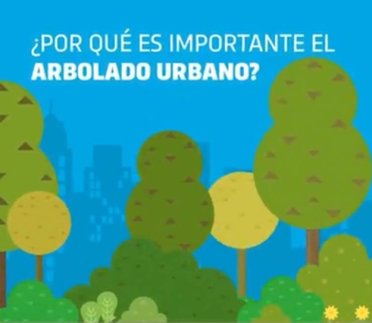 CONTINUIDAD DE LA REPOSICIÓN DEL ARBOLADO PÚBLICO