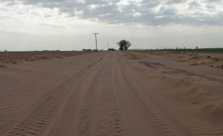 COMPLICADA SITUACIÓN DE SUELOS Y CAMINOS RURALES