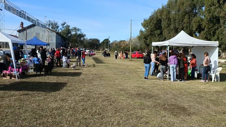 FERIA DE ARTESANÍAS Y EMPRENDEDORES ORGANIZADA POR CÁRITAS