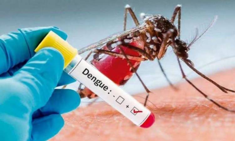 SE RETOMAN LAS TAREAS PREVENTIVAS CONTRA EL DENGUE