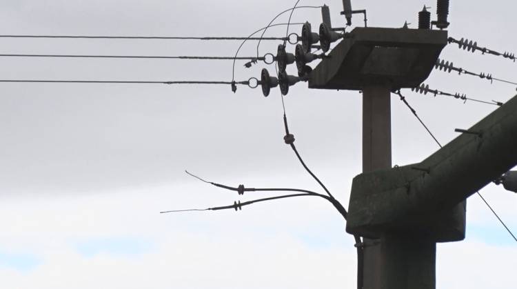 UN GATO PROVOCÓ EL CORTE DE ENERGÍA DEL ÚLTIMO SÁBADO