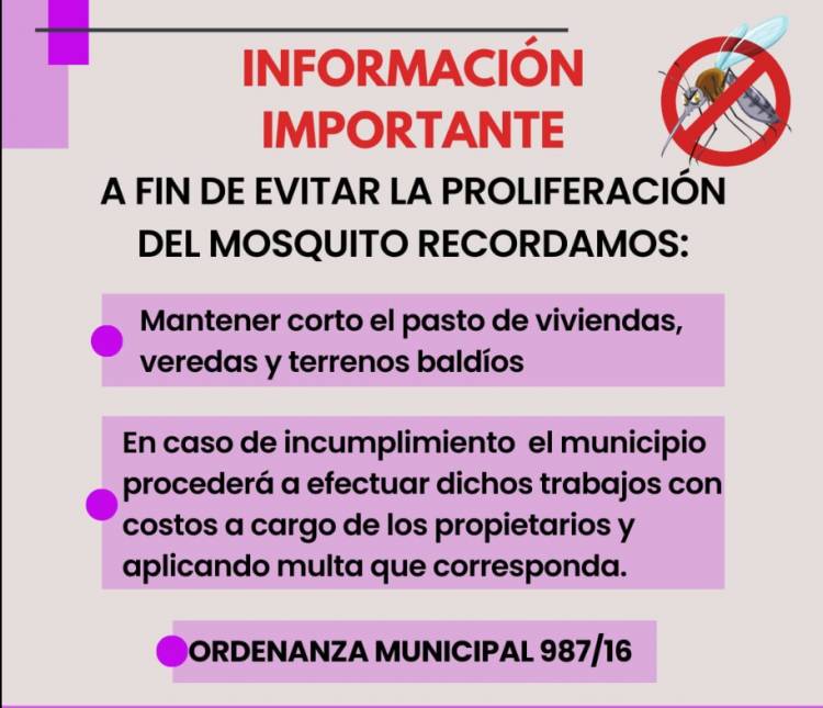 DENGUE: SE RETOMAN LOS CONTROLES PREVENTIVOS