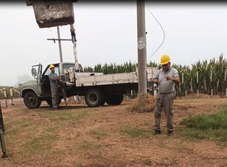 REDES DE LA COOPERATIVA: CONTINÚAN LAS TAREAS DE SEPARACIÓN DE LA LINEA RURAL DE LA URBANA