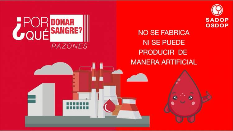 BANCO DE SANGRE: "ES LO MEJOR QUE PUDE HABER HECHO"