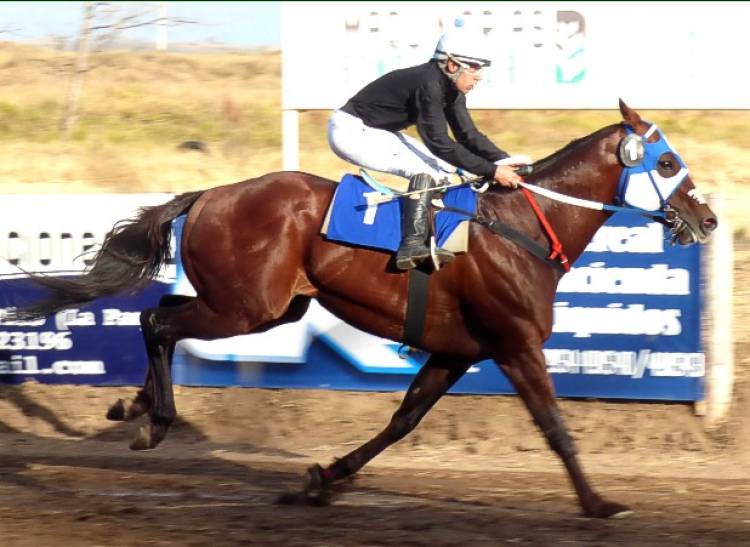 EL STUD LA MARY GANÓ POR TRIPLICADO EN EL JOCKEY DE CATRILÓ