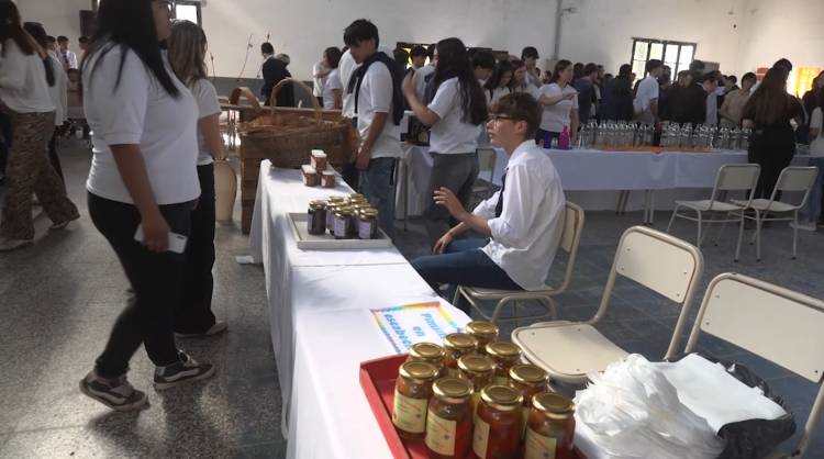 MUESTRA INSTITUCIONAL DEL IPEMYA 