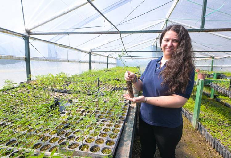 GEN NATIVO: EL PROGRAMA PRODUCTOR DE ESPECIES PARA REFORESTAR CAMPOS