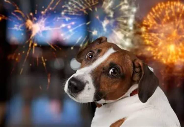 LLEGAN LAS FIESTAS Y SE REITERA EL PEDIDO DEL NO USO DE PIROTECNIA 